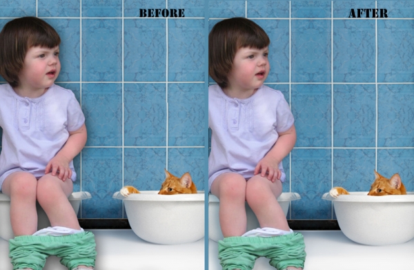 Creation of Cute girl at the potty: Step 11